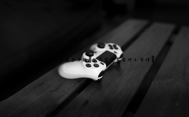 自费留学需要多少钱(出国留学需要什么条件) 自费留学需要多少钱(出国留学需要什么条件)