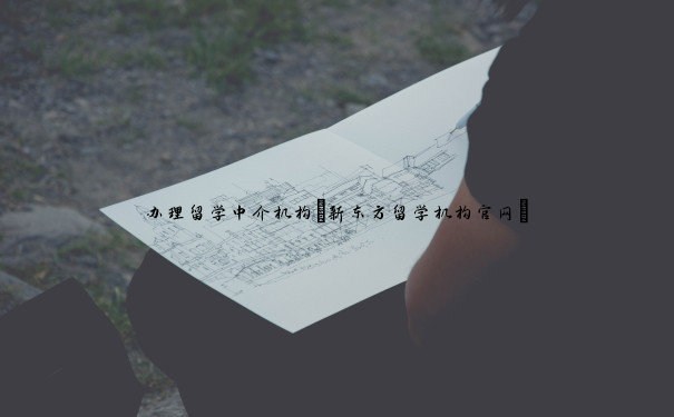 办理留学中介机构(新东方留学机构官网) 办理留学中介机构(新东方留学机构官网)