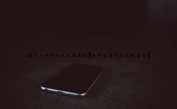 孩子上中专好还是职高好(初中辍学可以上职高吗) 孩子上中专好还是职高好(初中辍学可以上职高吗)