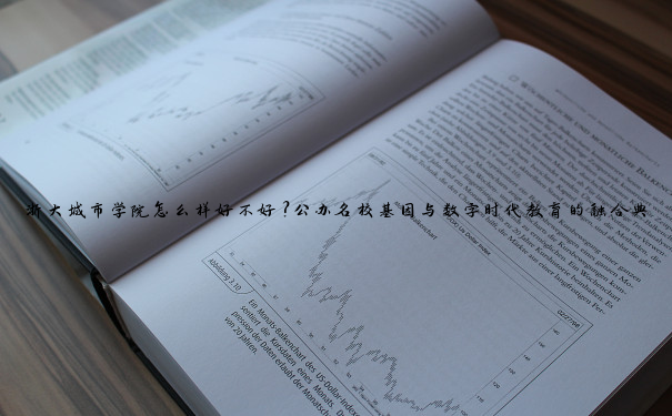 浙大城市学院怎么样好不好？公办名校基因与数字时代教育的融合典范