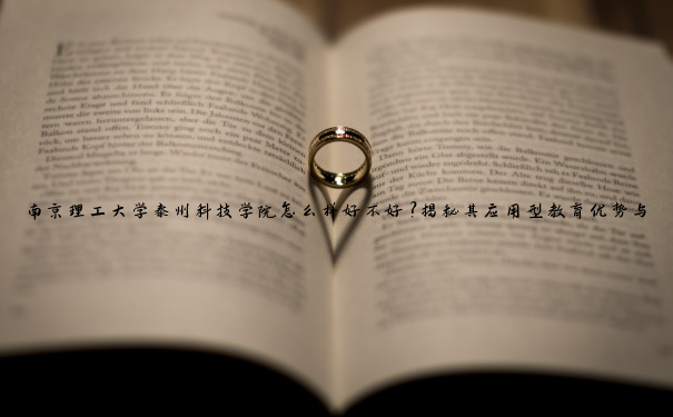 南京理工大学泰州科技学院怎么样好不好？揭秘其应用型教育优势与挑战