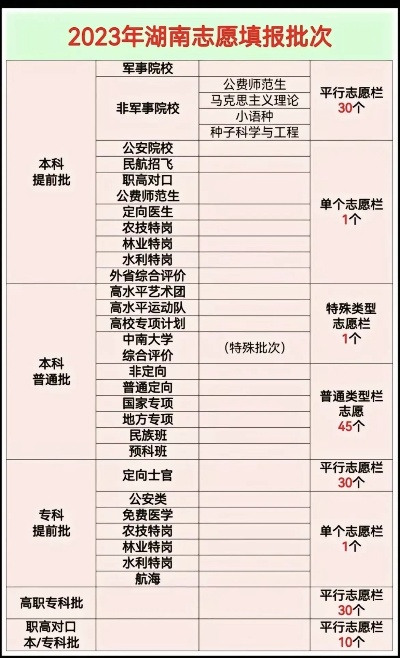 湖南新高考多少个志愿