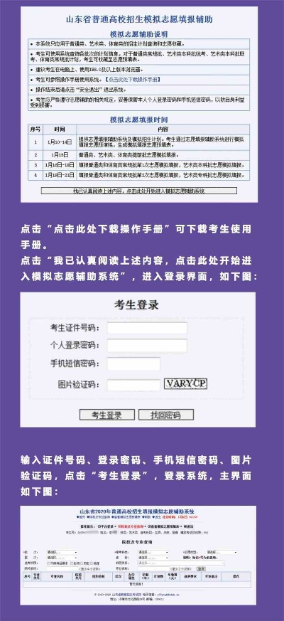 怎么网上填志愿高考山东