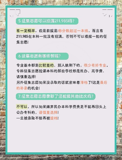 2本高考如何报考志愿