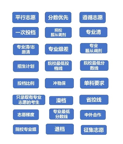 高考志愿系统有哪些
