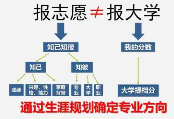 高考志愿如何插空