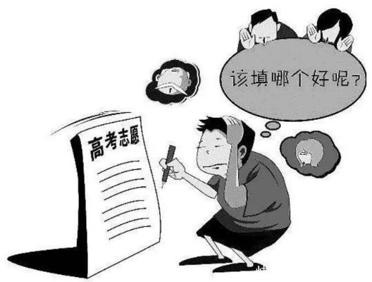 高考为什么不先填志愿