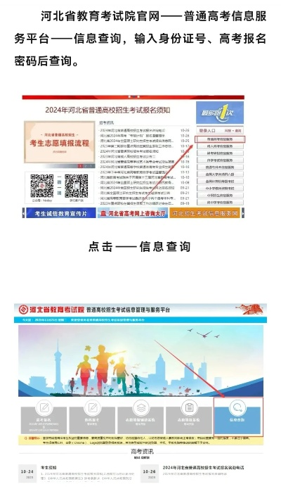 怎么查找高考志愿报名号