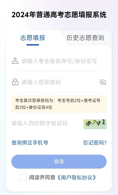 高考志愿者如何查询