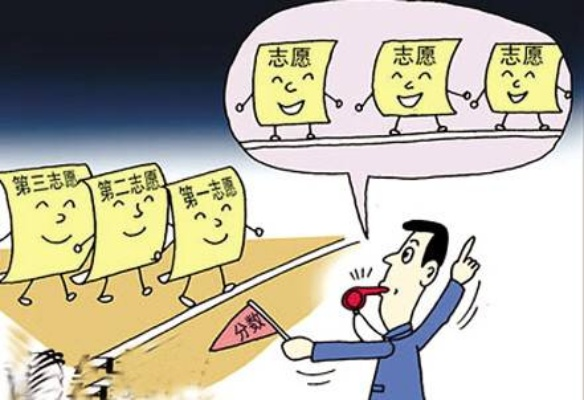 填志愿和高考志愿哪个有用