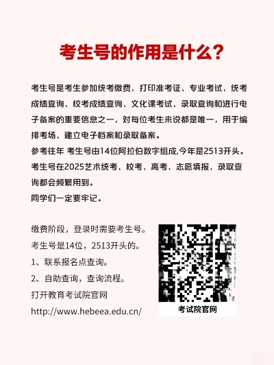 高考志愿考生号怎么查