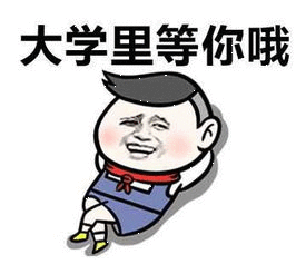高考报志愿什么