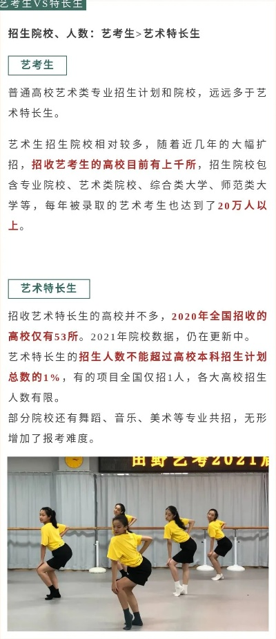 高考特长志愿有哪些