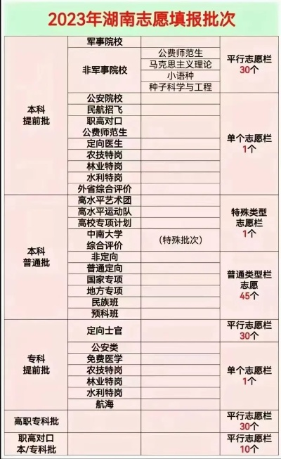 湖南高考志愿怎么排序