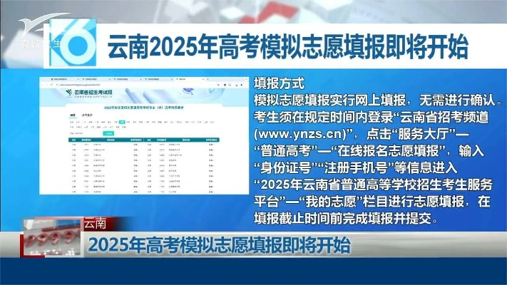 云南高考志愿哪里查