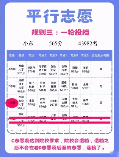 平行志愿高考怎么排名