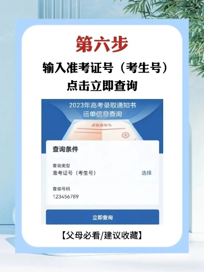 高考志愿证书在哪里查