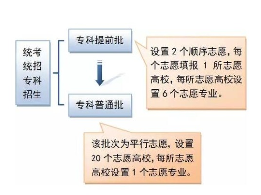 什么是高考专科志愿学生