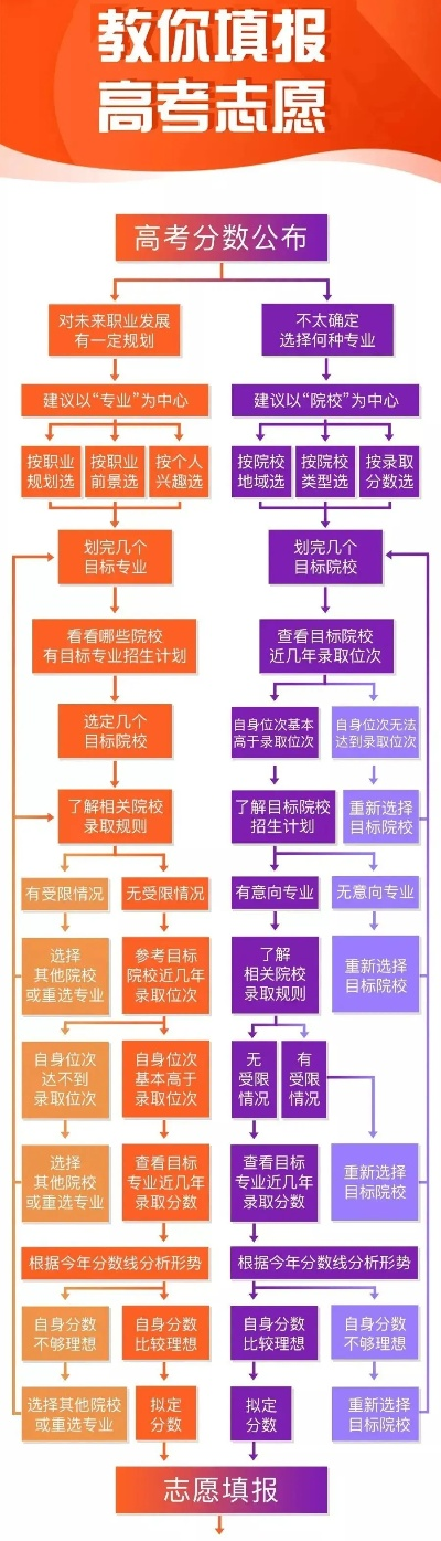 山东高考怎么写志愿表