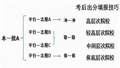 高考什么叫梯度志愿填报