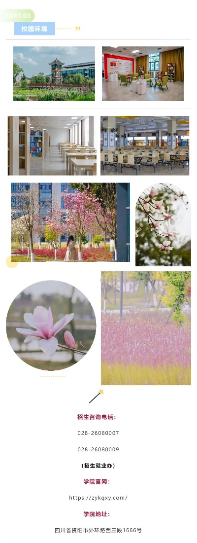 资阳哪里有高考填报志愿