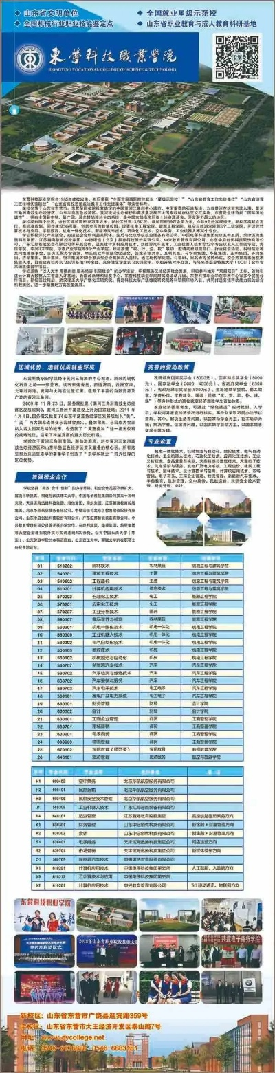 东营高考志愿专业怎么选