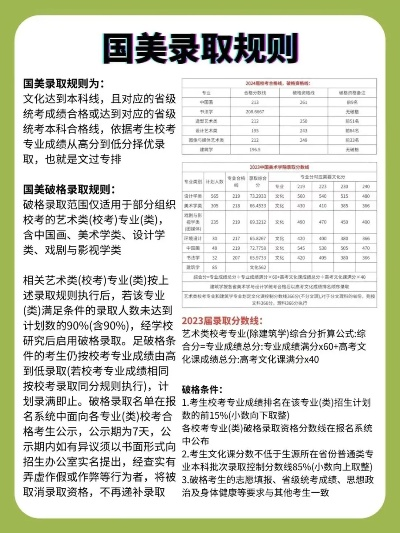 鲁美怎么报高考志愿