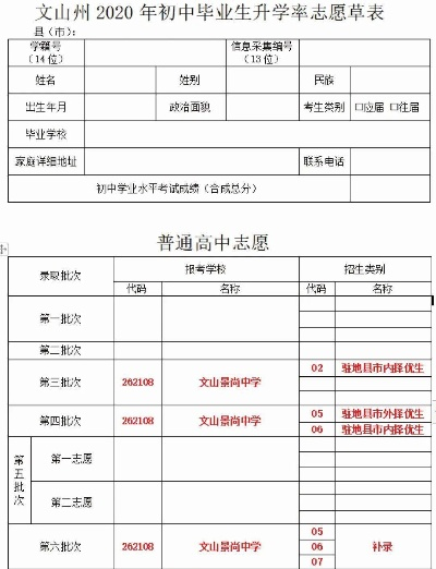 文山填高考志愿怎么填