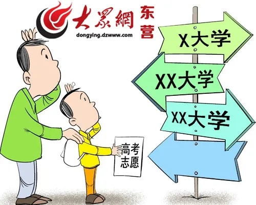 东营高考本科志愿怎么填