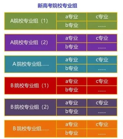 高考志愿分组是什么