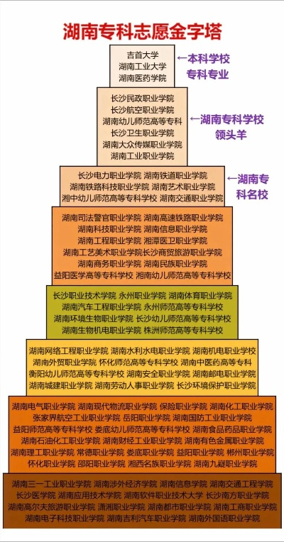 高考大专志愿怎么填报湖南