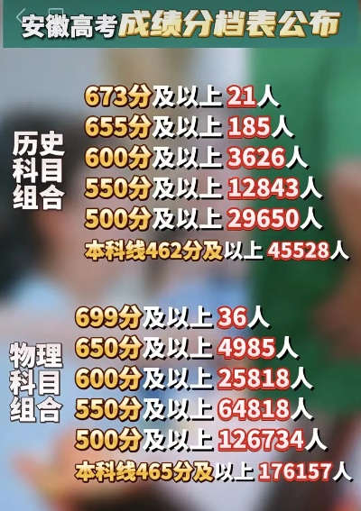安徽高考最热志愿有哪些