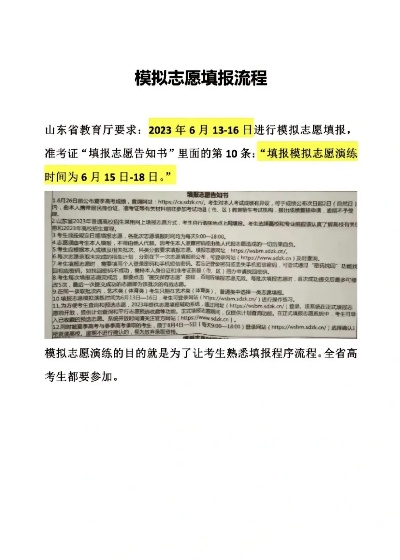 山东高考怎么报志愿步骤