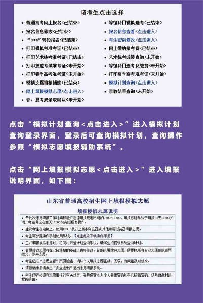 山东高考志愿怎么导出