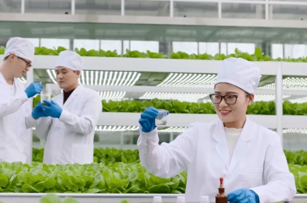 农校最吃香的三个专业是什么？智慧农业、资源环境与食品工程成新宠